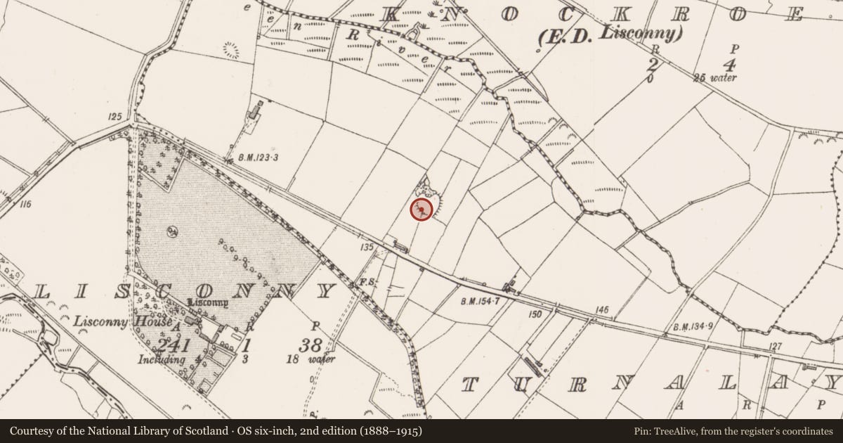 Ordnance Survey six-inch map, 2nd edition (1888–1915) covering the location of Ringfort - rath, Turnalaydan, County Sligo, with a pin at the register's coordinates