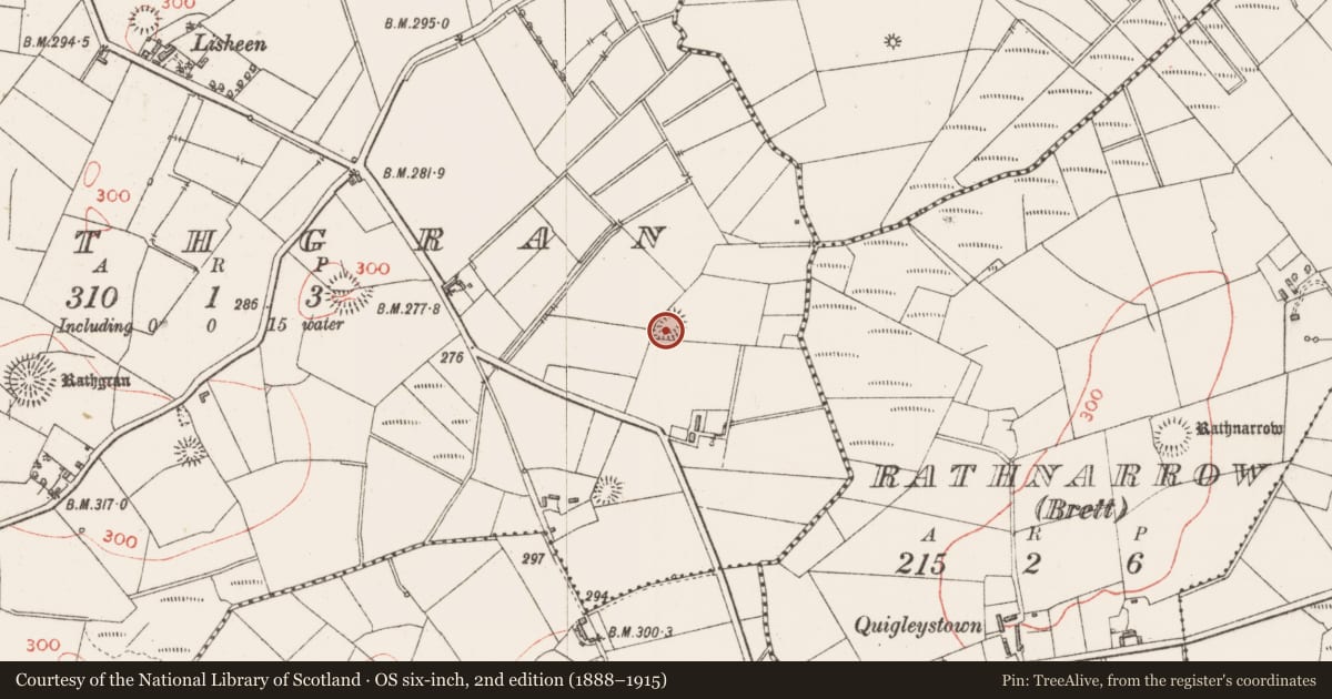 Ordnance Survey six-inch map, 2nd edition (1888–1915) covering the location of Ringfort - rath, Rathgran, County Sligo, with a pin at the register's coordinates