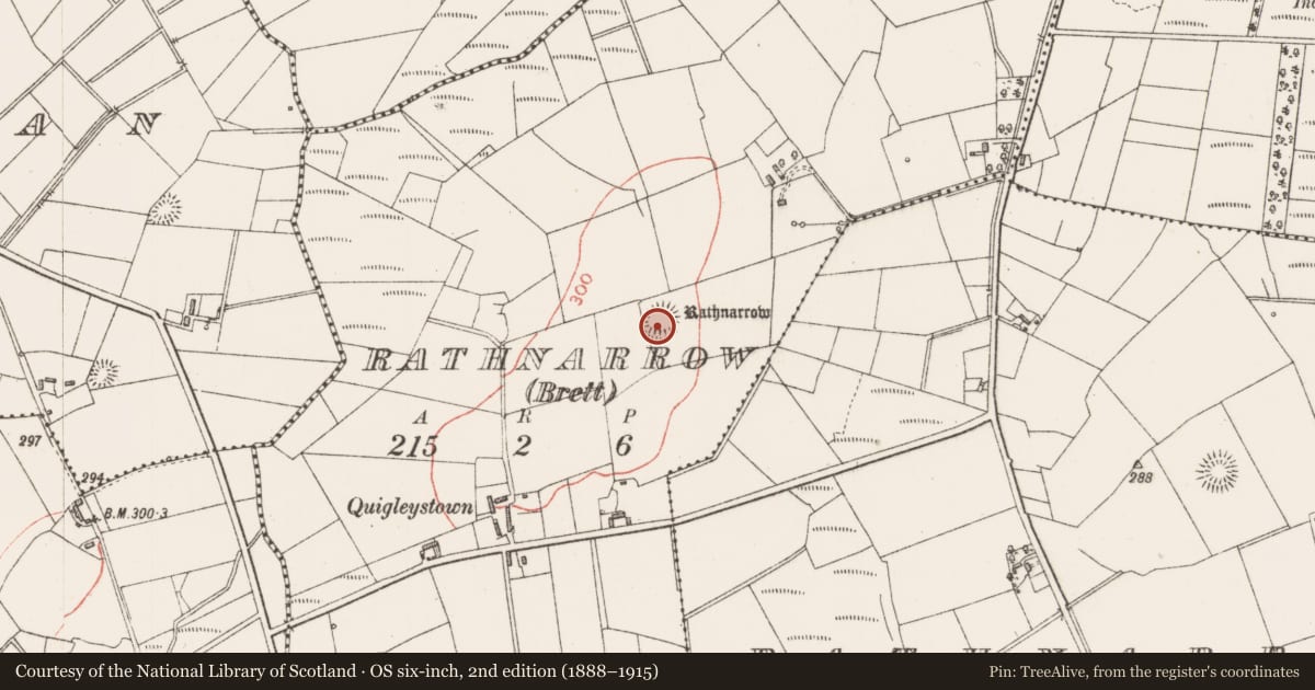 Ordnance Survey six-inch map, 2nd edition (1888–1915) covering the location of Ringfort - rath, Rathnarrow (Brett), County Sligo, with a pin at the register's coordinates