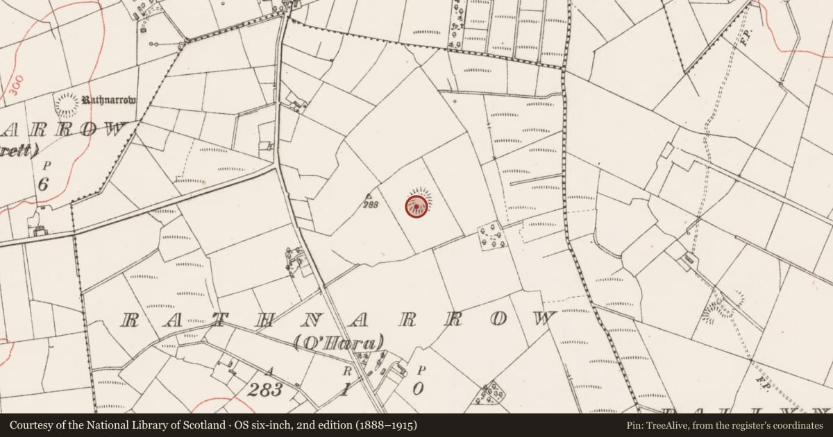 Ordnance Survey six-inch map, 2nd edition (1888–1915) covering the location of Ringfort - rath, Rathnarrow (O'Hara), County Sligo, with a pin at the register's coordinates