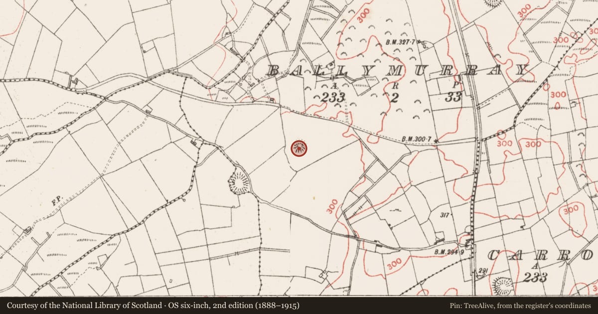 Ordnance Survey six-inch map, 2nd edition (1888–1915) covering the location of Ringfort - rath, Ballymurray, County Sligo, with a pin at the register's coordinates