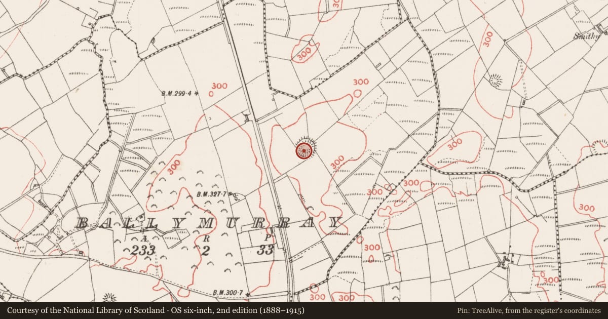 Ordnance Survey six-inch map, 2nd edition (1888–1915) covering the location of Ringfort - rath, Ballymurray, County Sligo, with a pin at the register's coordinates