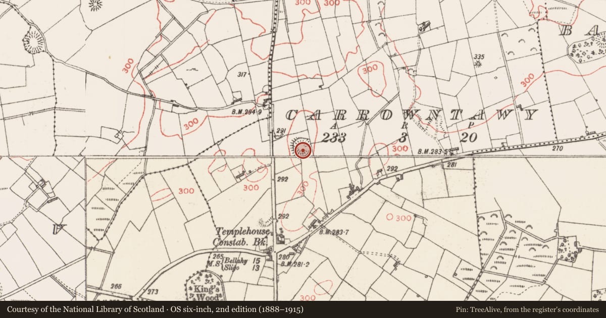 Ordnance Survey six-inch map, 2nd edition (1888–1915) covering the location of Ringfort - rath, Carrowntawy, County Sligo, with a pin at the register's coordinates