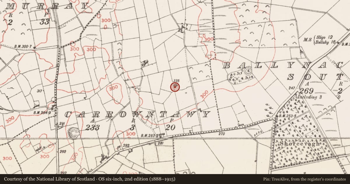 Ordnance Survey six-inch map, 2nd edition (1888–1915) covering the location of Barrow - bowl-barrow, Carrowntawy, County Sligo, with a pin at the register's coordinates