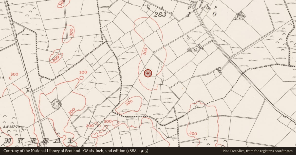 Ordnance Survey six-inch map, 2nd edition (1888–1915) covering the location of Ringfort - rath, Rathnarrow (O'Hara), County Sligo, with a pin at the register's coordinates