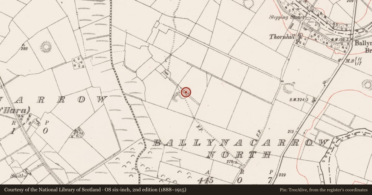Ordnance Survey six-inch map, 2nd edition (1888–1915) covering the location of Ringfort - rath, Ballynacarrow North, County Sligo, with a pin at the register's coordinates