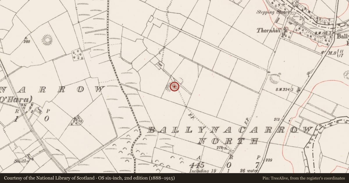 Ordnance Survey six-inch map, 2nd edition (1888–1915) covering the location of Ringfort - rath, Ballynacarrow North, County Sligo, with a pin at the register's coordinates