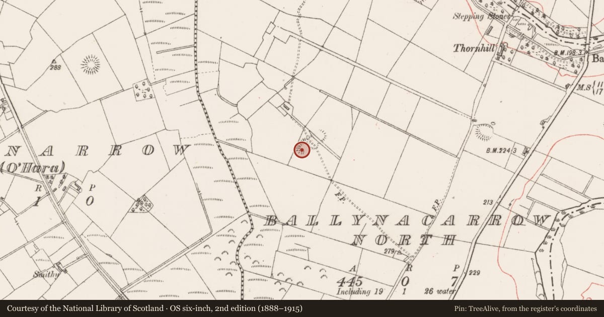 Ordnance Survey six-inch map, 2nd edition (1888–1915) covering the location of Ringfort - rath, Ballynacarrow North, County Sligo, with a pin at the register's coordinates