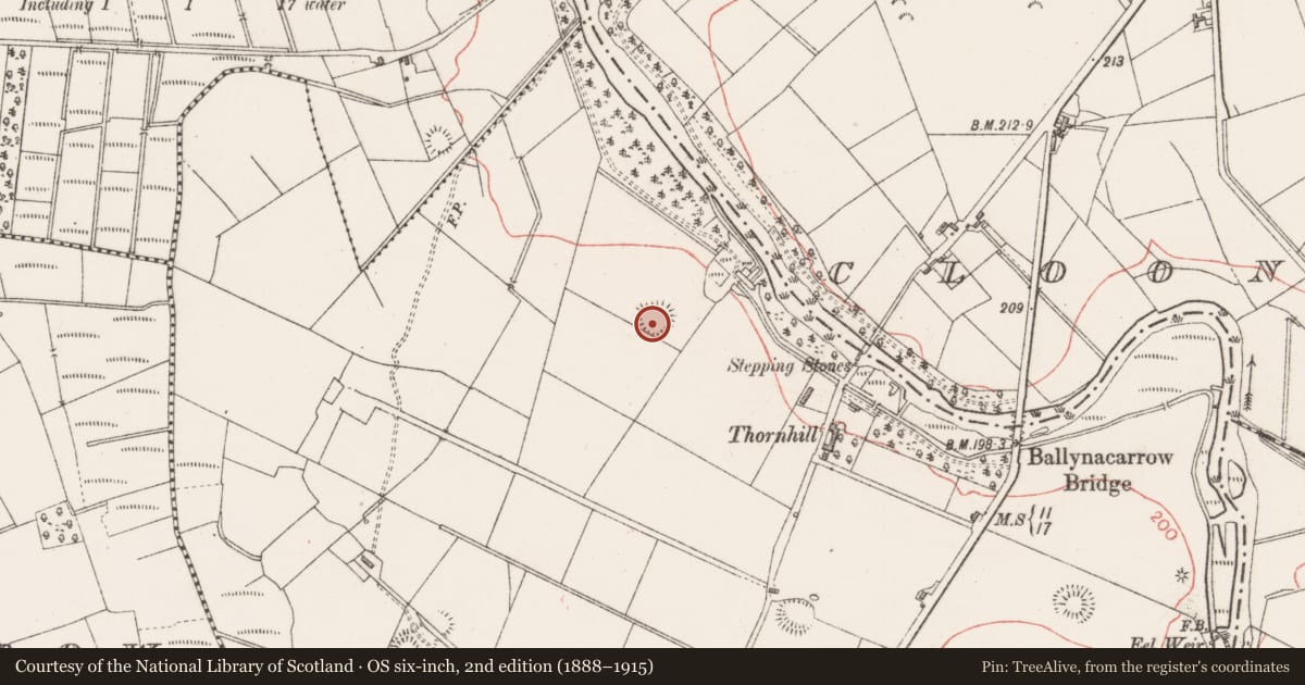Ordnance Survey six-inch map, 2nd edition (1888–1915) covering the location of Ringfort - rath, Ballynacarrow North, County Sligo, with a pin at the register's coordinates