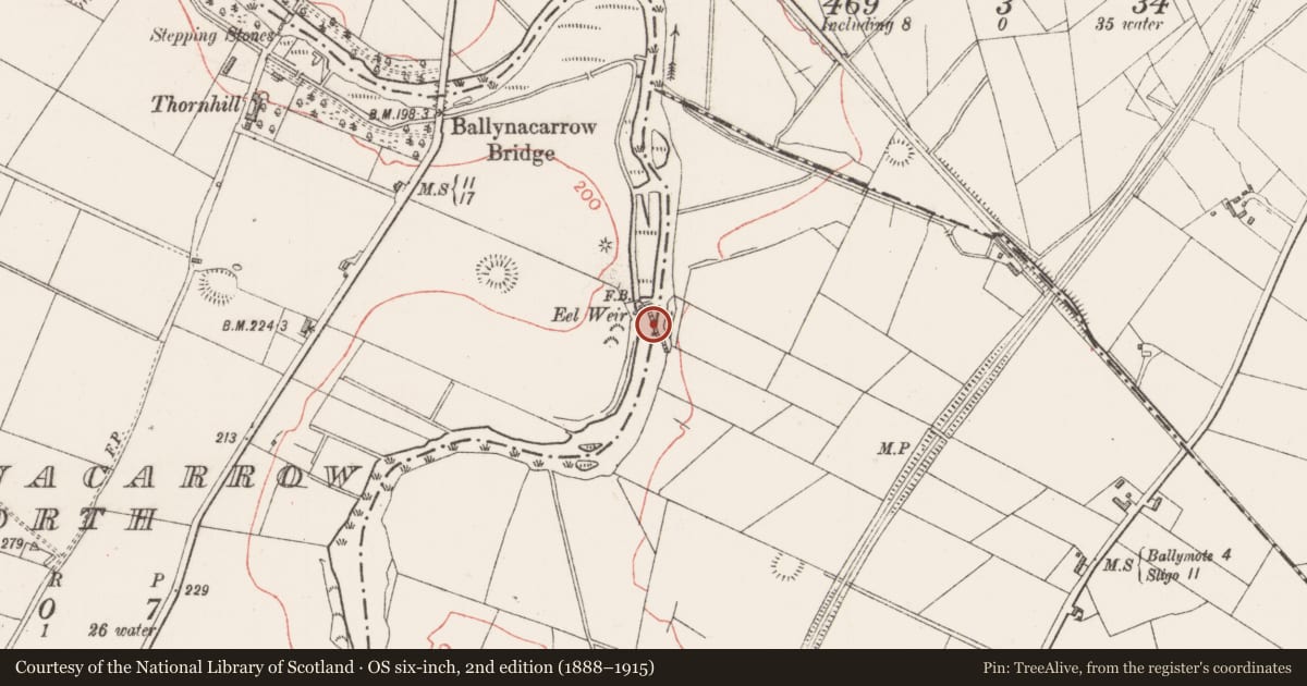 Ordnance Survey six-inch map, 2nd edition (1888–1915) covering the location of Weir - fish, Ballynacarrow North, County Sligo, with a pin at the register's coordinates
