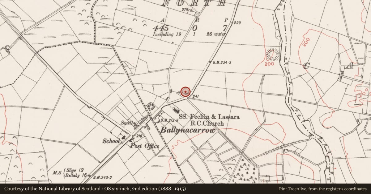 Ordnance Survey six-inch map, 2nd edition (1888–1915) covering the location of Ringfort - rath, Ballynacarrow North, County Sligo, with a pin at the register's coordinates