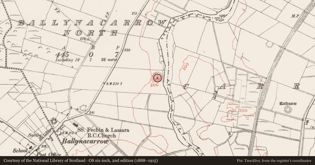 Ordnance Survey six-inch map, 2nd edition (1888–1915) covering the location of Ringfort - rath, Ballynacarrow North, County Sligo, with a pin at the register's coordinates