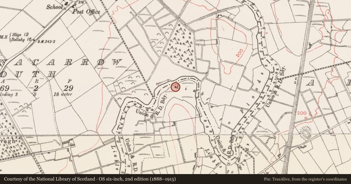 Ordnance Survey six-inch map, 2nd edition (1888–1915) covering the location of Enclosure, Cloonamanagh, County Sligo, with a pin at the register's coordinates