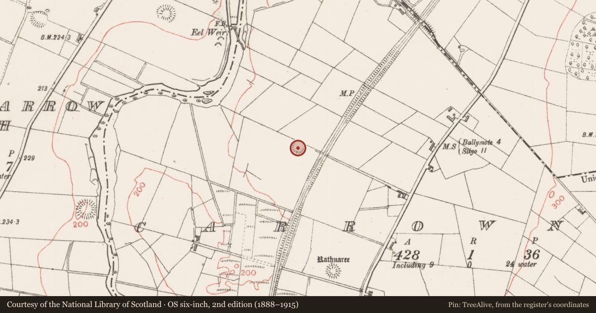 Ordnance Survey six-inch map, 2nd edition (1888–1915) covering the location of Enclosure, Carrownree, County Sligo, with a pin at the register's coordinates