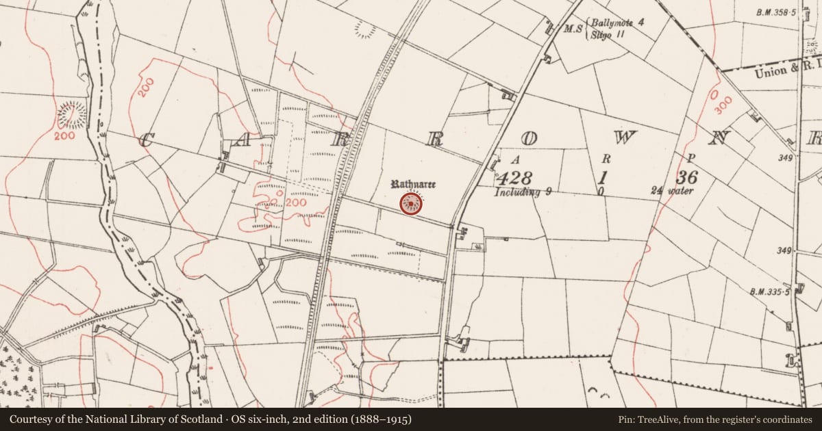 Ordnance Survey six-inch map, 2nd edition (1888–1915) covering the location of Ringfort - rath, Carrownree, County Sligo, with a pin at the register's coordinates