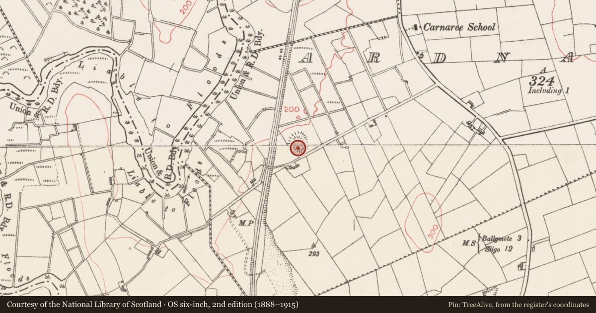 Ordnance Survey six-inch map, 2nd edition (1888–1915) covering the location of Ringfort - rath, Ardnaglass, County Sligo, with a pin at the register's coordinates