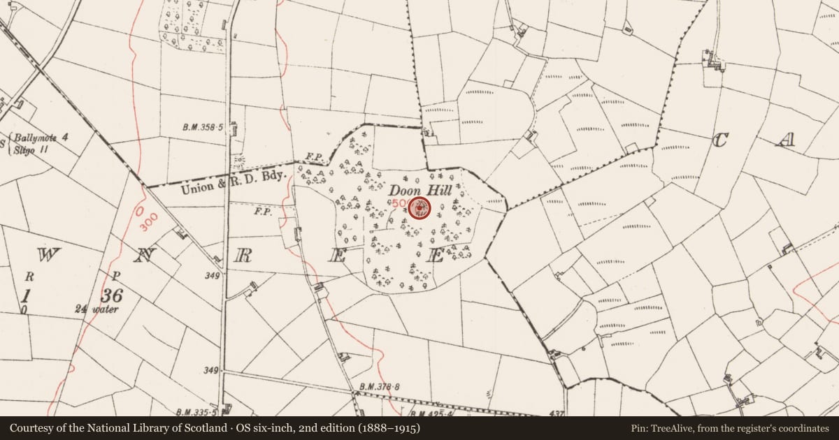 Ordnance Survey six-inch map, 2nd edition (1888–1915) covering the location of Barrow - bowl-barrow, Carrownree, County Sligo, with a pin at the register's coordinates