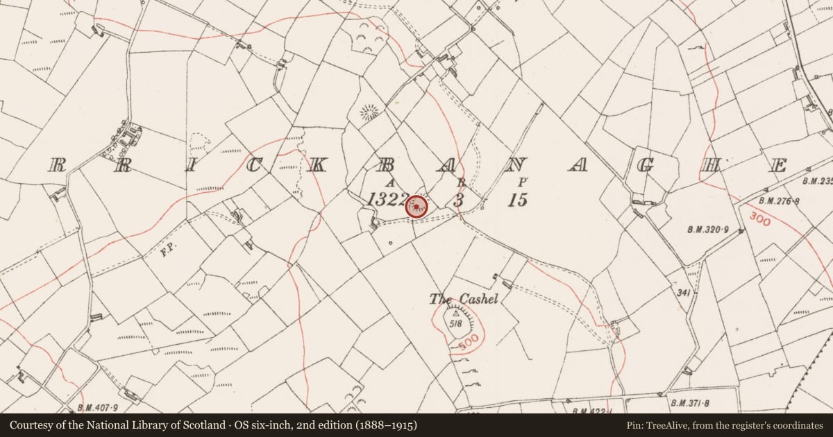 Ordnance Survey six-inch map, 2nd edition (1888–1915) covering the location of Ringfort - rath, Carrickbanagher, County Sligo, with a pin at the register's coordinates