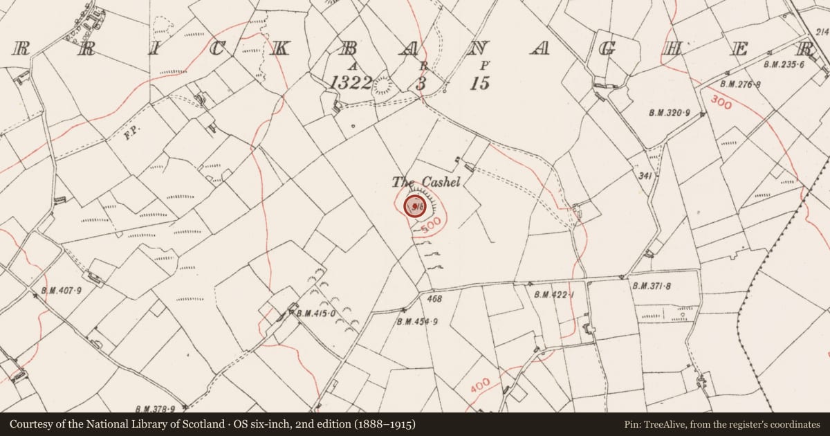 Ordnance Survey six-inch map, 2nd edition (1888–1915) covering the location of Hilltop enclosure, Carrickbanagher, County Sligo, with a pin at the register's coordinates