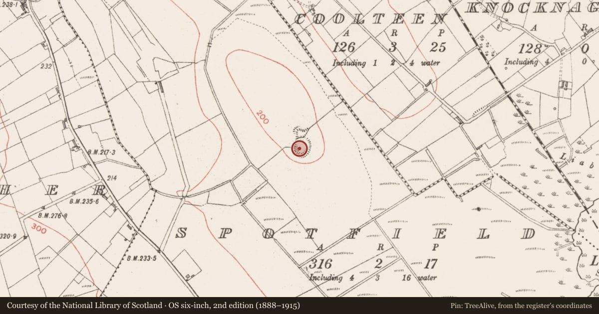 Ordnance Survey six-inch map, 2nd edition (1888–1915) covering the location of Ringfort - rath, Spotfield, County Sligo, with a pin at the register's coordinates