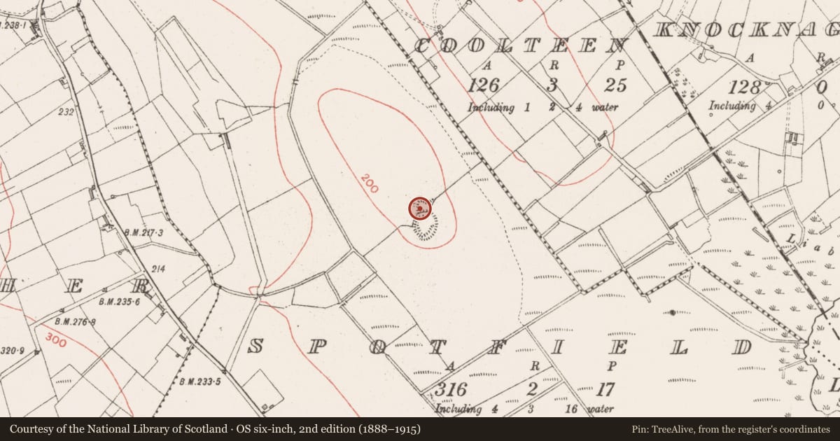 Ordnance Survey six-inch map, 2nd edition (1888–1915) covering the location of Ringfort - rath, Spotfield, County Sligo, with a pin at the register's coordinates