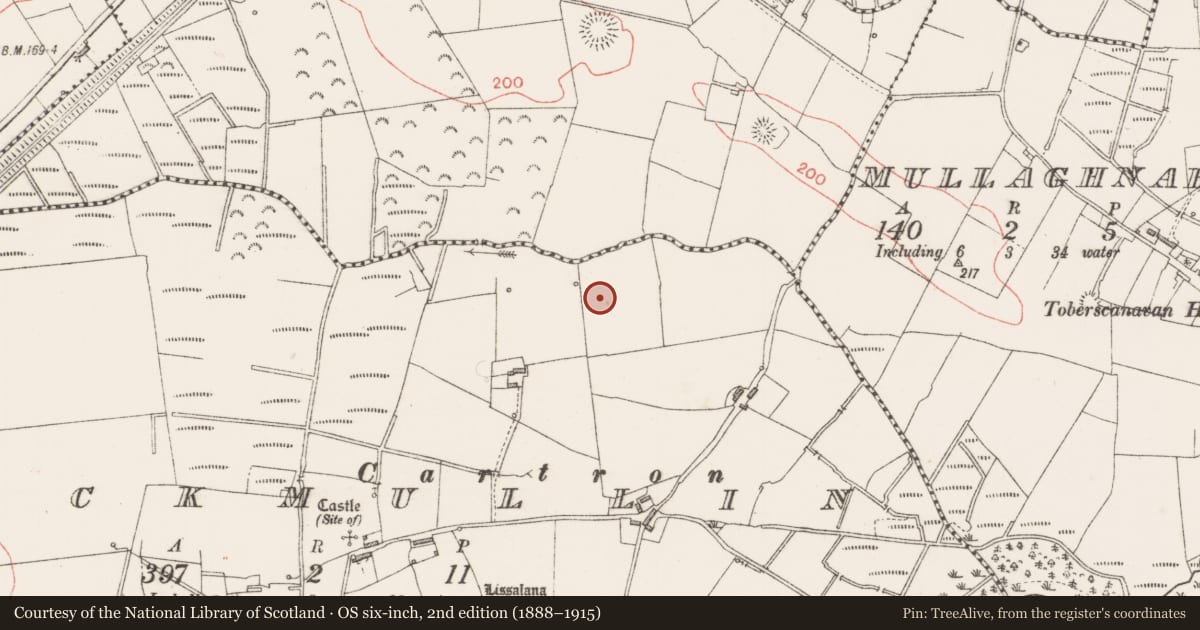 Ordnance Survey six-inch map, 2nd edition (1888–1915) covering the location of Cist, Knockmullin, County Sligo, with a pin at the register's coordinates