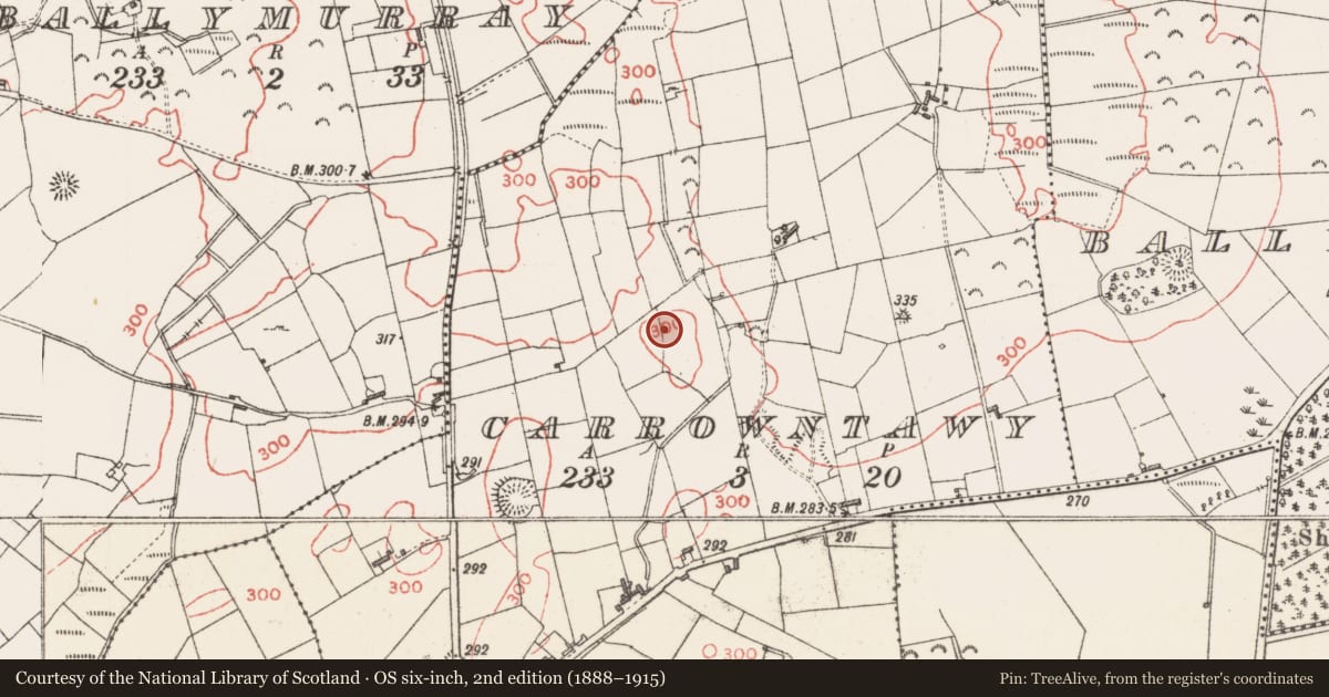 Ordnance Survey six-inch map, 2nd edition (1888–1915) covering the location of Hut site, Carrowntawy, County Sligo, with a pin at the register's coordinates