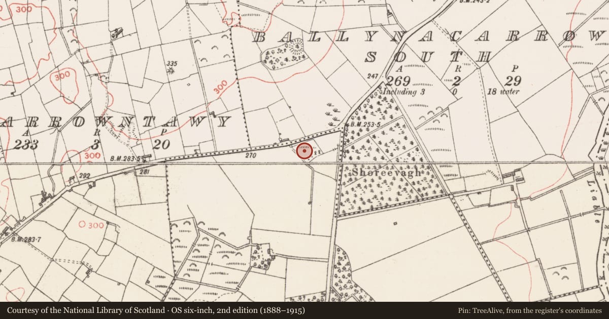 Ordnance Survey six-inch map, 2nd edition (1888–1915) covering the location of Barrow - ring-barrow, Rathbaun, County Sligo, with a pin at the register's coordinates