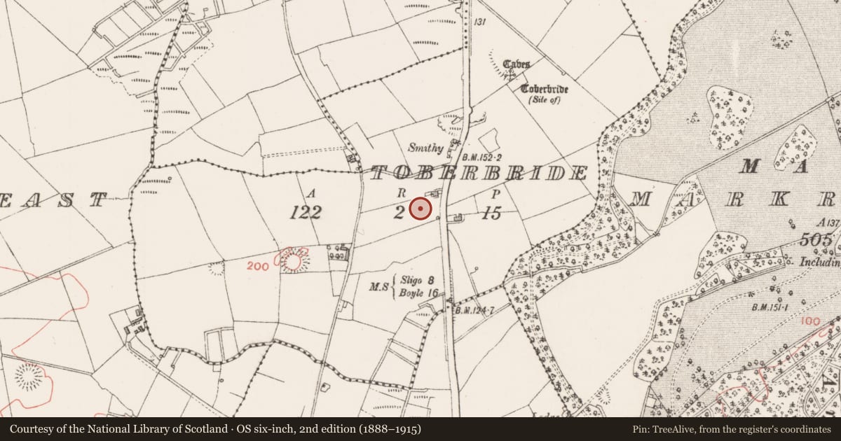 Ordnance Survey six-inch map, 2nd edition (1888–1915) covering the location of Enclosure, Toberbride, County Sligo, with a pin at the register's coordinates