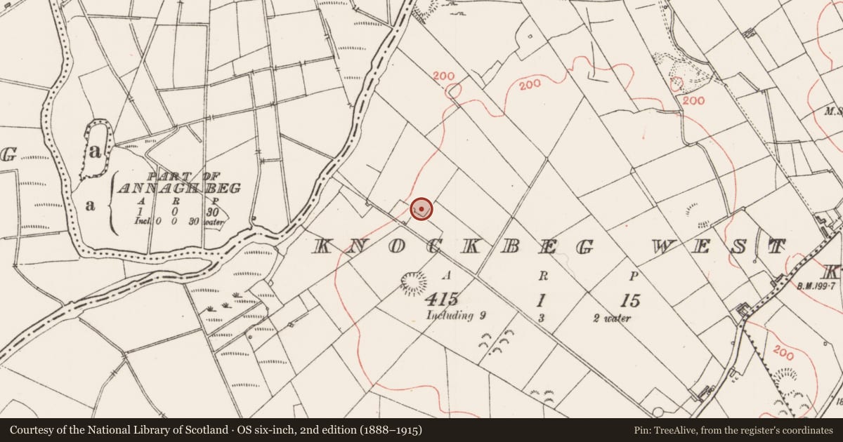 Ordnance Survey six-inch map, 2nd edition (1888–1915) covering the location of Enclosure, Knockbeg West, County Sligo, with a pin at the register's coordinates