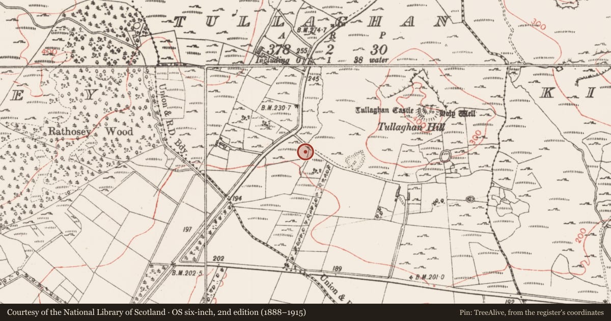 Ordnance Survey six-inch map, 2nd edition (1888–1915) covering the location of Fulacht fia, Tullaghan, County Sligo, with a pin at the register's coordinates