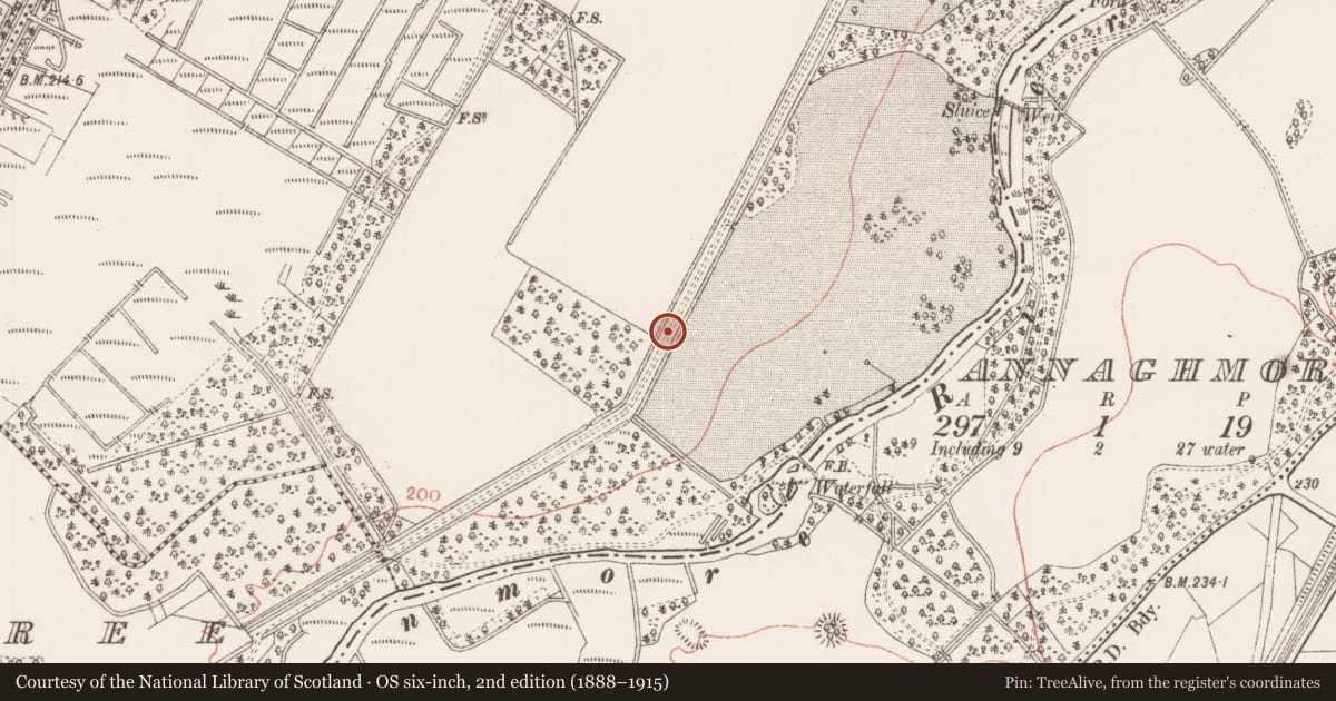 Ordnance Survey six-inch map, 2nd edition (1888–1915) covering the location of Designed landscape - avenue, Annagh More, County Sligo, with a pin at the register's coordinates