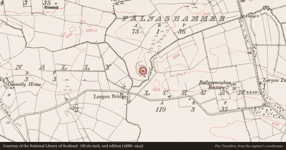 Ordnance Survey six-inch map, 2nd edition (1888–1915) covering the location of Ringfort - rath, Falnashammer, County Sligo, with a pin at the register's coordinates