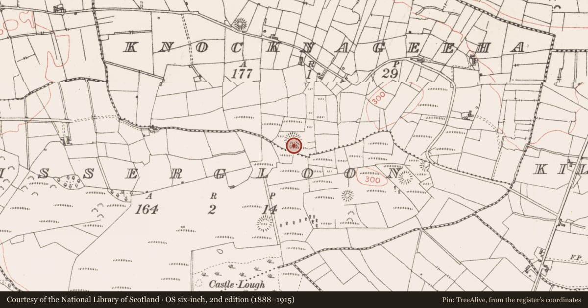Ordnance Survey six-inch map, 2nd edition (1888–1915) covering the location of Ringfort - rath, Knocknageeha, County Sligo, with a pin at the register's coordinates