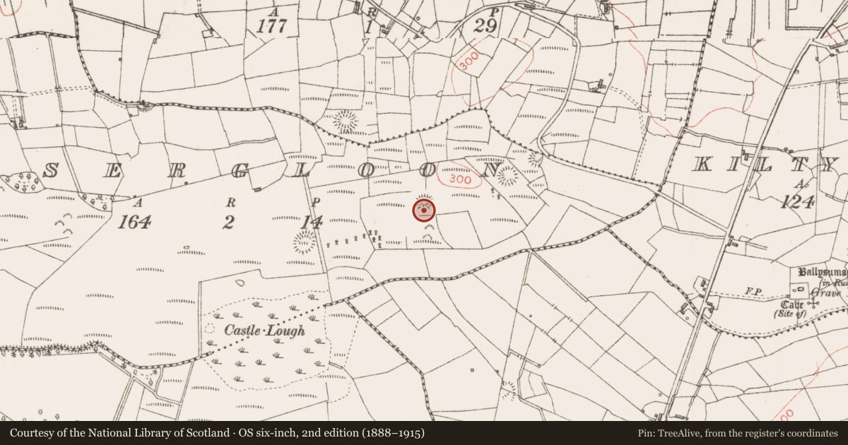 Ordnance Survey six-inch map, 2nd edition (1888–1915) covering the location of Ringfort - rath, Lissergloon, County Sligo, with a pin at the register's coordinates