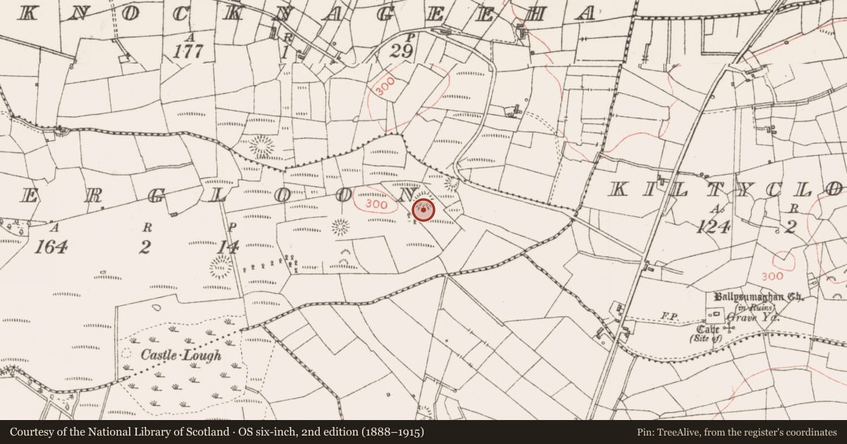Ordnance Survey six-inch map, 2nd edition (1888–1915) covering the location of Ringfort - rath, Lissergloon, County Sligo, with a pin at the register's coordinates