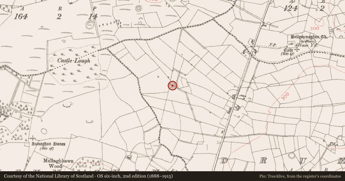 Ordnance Survey six-inch map, 2nd edition (1888–1915) covering the location of Ringfort - rath, Drumee, County Sligo, with a pin at the register's coordinates