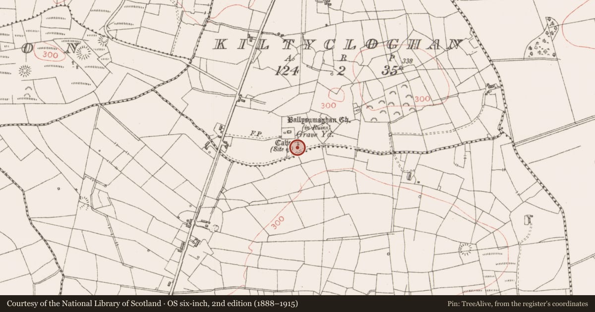 Ordnance Survey six-inch map, 2nd edition (1888–1915) covering the location of Souterrain, Kiltycloghan, County Sligo, with a pin at the register's coordinates