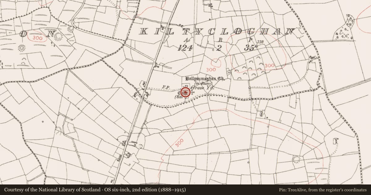 Ordnance Survey six-inch map, 2nd edition (1888–1915) covering the location of Architectural fragment, Kiltycloghan, County Sligo, with a pin at the register's coordinates