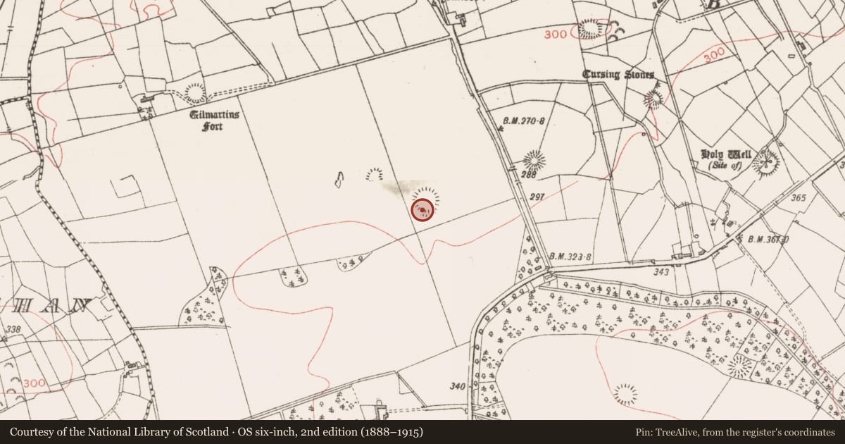 Ordnance Survey six-inch map, 2nd edition (1888–1915) covering the location of Ringfort - rath, Lavally, County Sligo, with a pin at the register's coordinates