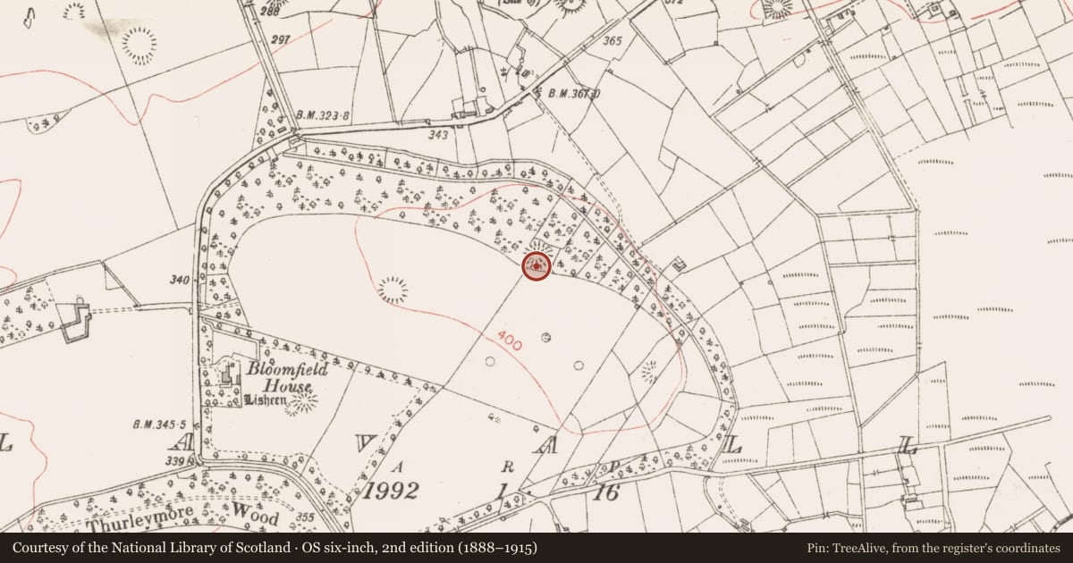 Ordnance Survey six-inch map, 2nd edition (1888–1915) covering the location of Ringfort - rath, Lavally, County Sligo, with a pin at the register's coordinates