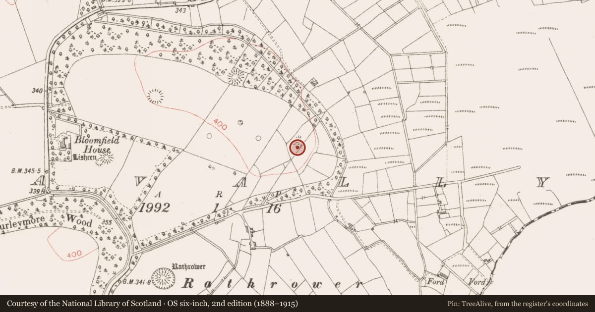 Ordnance Survey six-inch map, 2nd edition (1888–1915) covering the location of Ringfort - rath, Lavally, County Sligo, with a pin at the register's coordinates