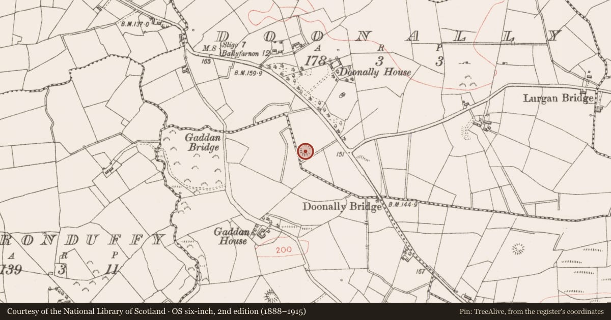 Ordnance Survey six-inch map, 2nd edition (1888–1915) covering the location of Ringfort - rath, Doonally, County Sligo, with a pin at the register's coordinates