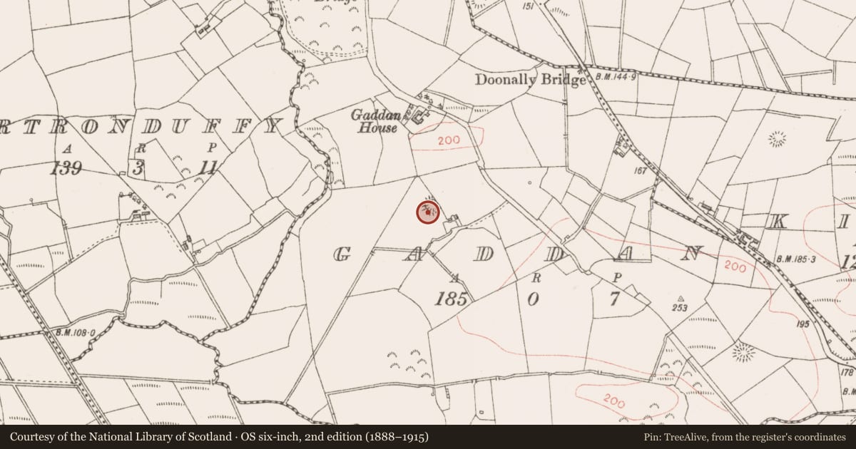 Ordnance Survey six-inch map, 2nd edition (1888–1915) covering the location of Ringfort - rath, Gaddan, County Sligo, with a pin at the register's coordinates