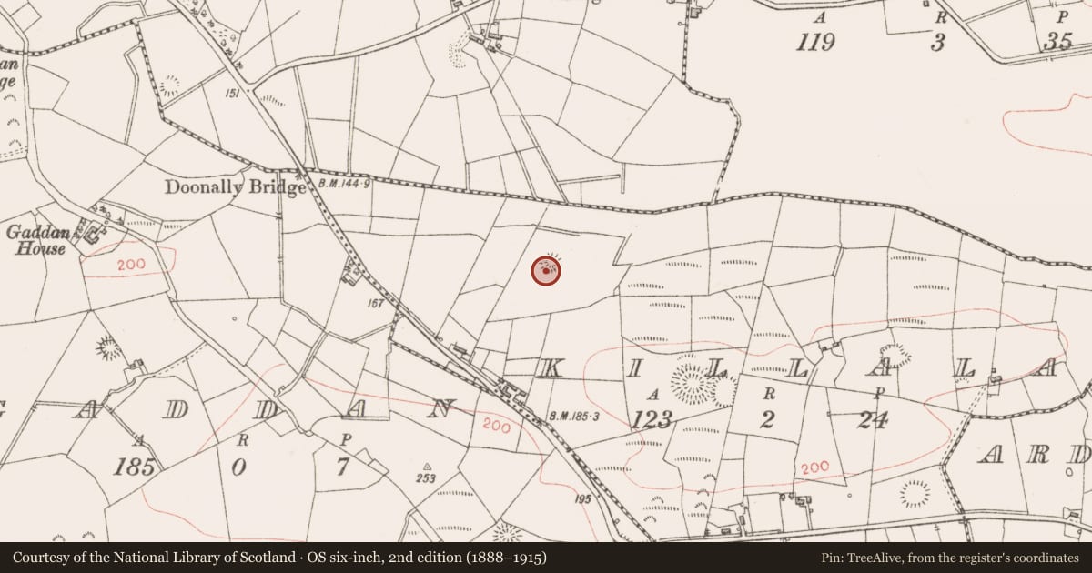 Ordnance Survey six-inch map, 2nd edition (1888–1915) covering the location of Ringfort - rath, Killala, County Sligo, with a pin at the register's coordinates