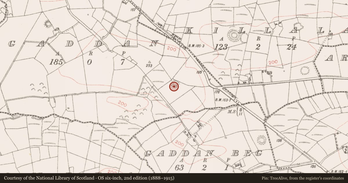 Ordnance Survey six-inch map, 2nd edition (1888–1915) covering the location of Ringfort - rath, Gaddan, County Sligo, with a pin at the register's coordinates