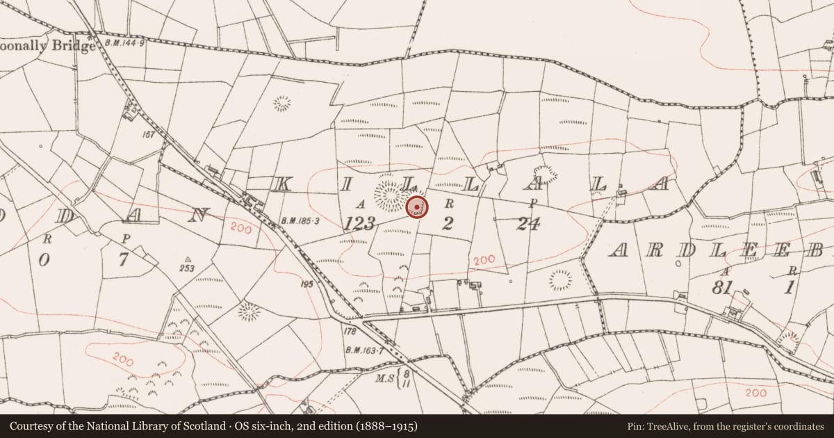 Ordnance Survey six-inch map, 2nd edition (1888–1915) covering the location of Ringfort - rath, Killala, County Sligo, with a pin at the register's coordinates