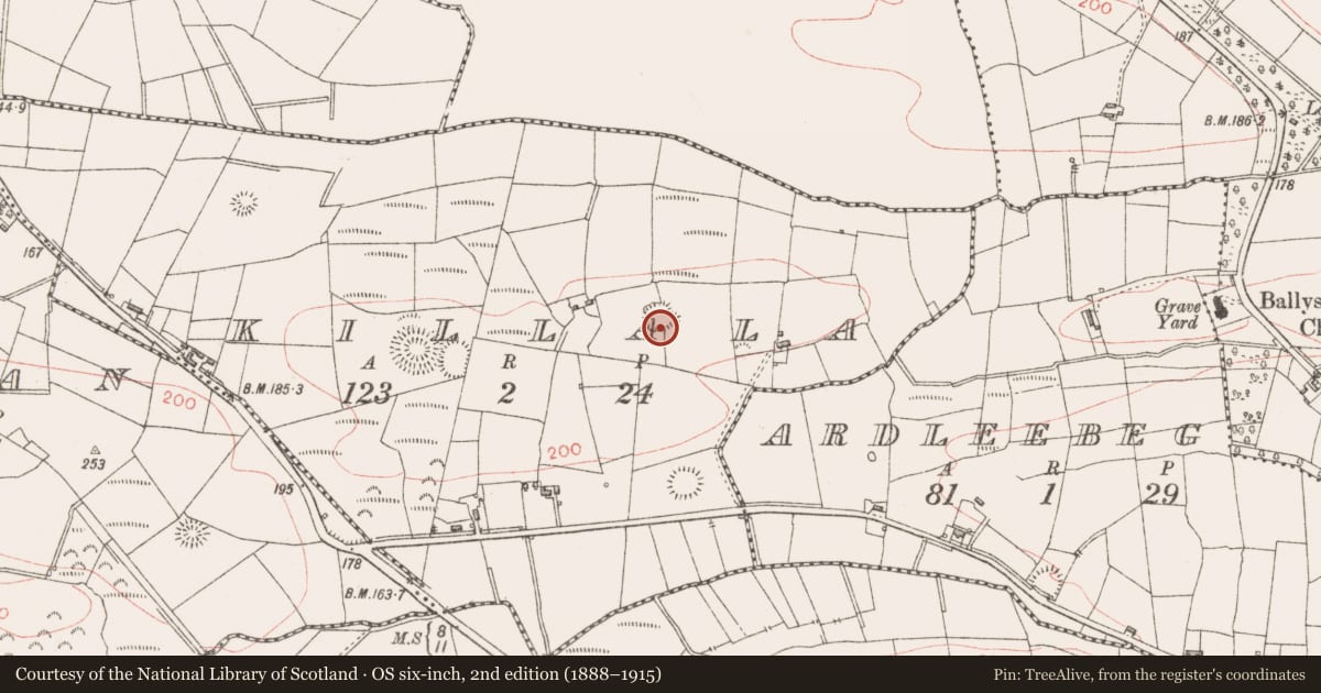 Ordnance Survey six-inch map, 2nd edition (1888–1915) covering the location of Ringfort - rath, Killala, County Sligo, with a pin at the register's coordinates