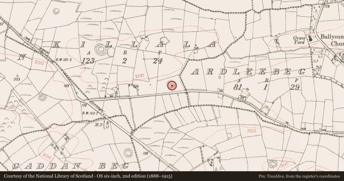 Ordnance Survey six-inch map, 2nd edition (1888–1915) covering the location of Ringfort - rath, Killala, County Sligo, with a pin at the register's coordinates