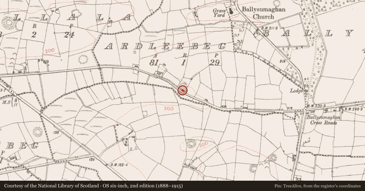 Ordnance Survey six-inch map, 2nd edition (1888–1915) covering the location of Ringfort - rath, Ardleebeg, County Sligo, with a pin at the register's coordinates